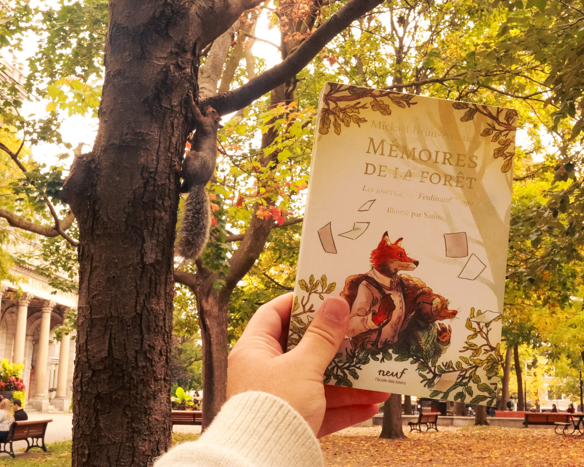 Mémoires de la foret (T1) - Les souvenirs de Ferdinand taupe - Mickael Brun-Arnaud